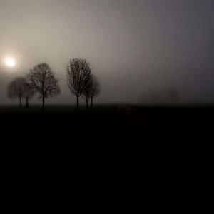 Foggy Day